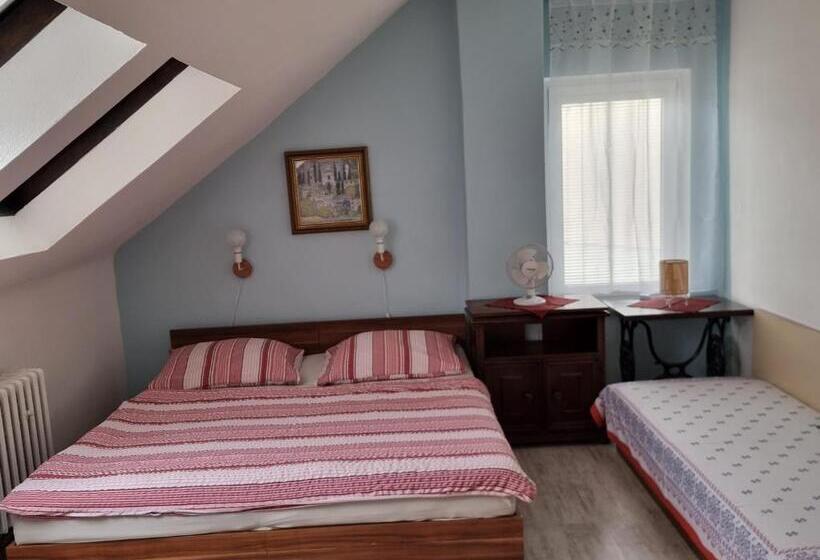 פנסיון Penzion A Víno