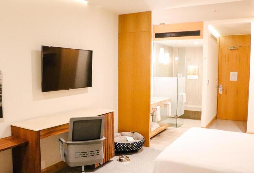 Hotel Mio Vallarta Unique & Different Adults Only