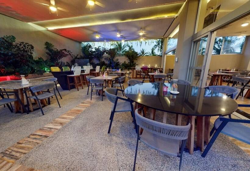 Hotel Mio Vallarta Unique & Different Adults Only