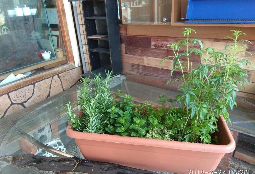 پانسیون Art Taiwan Homestay