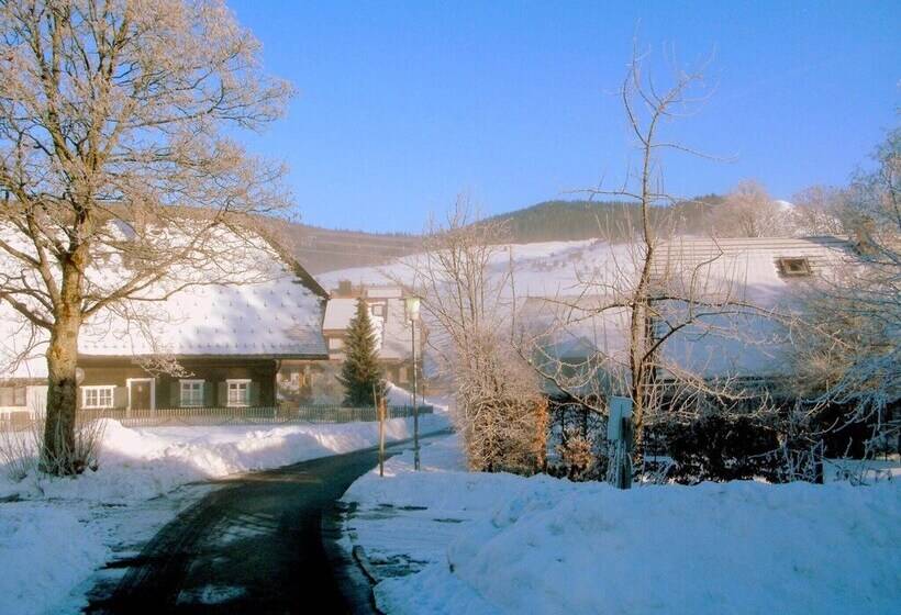 Apartment In Bernau Near The Ski Area