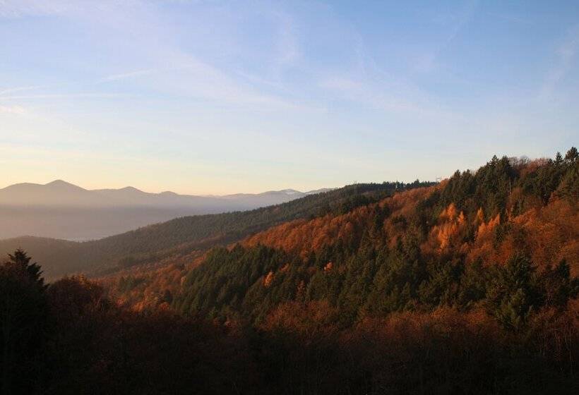 酒店 L'hostellerie Le Turckheim Croix D'or