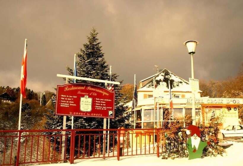 酒店 L'hostellerie Le Turckheim Croix D'or