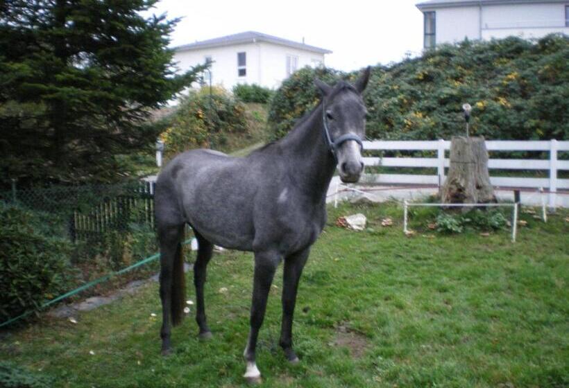 Modern Apartment In Wittenbeck With Terrace Fenced Garden