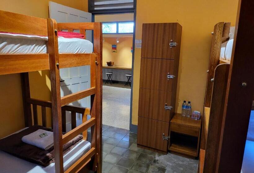 هاستل Dewi Sri Guesthouse