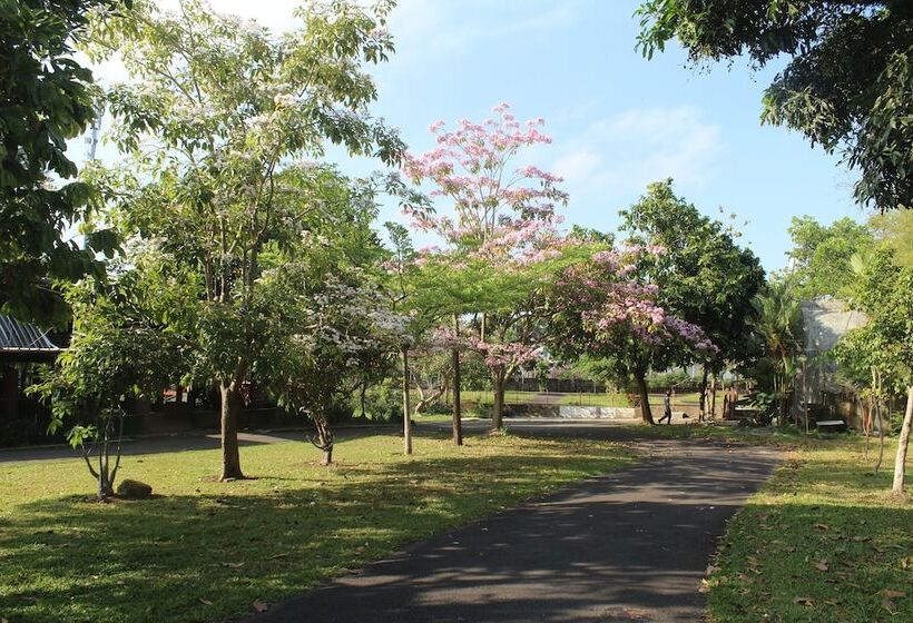 تختخواب و صبحانه Mandalawangi