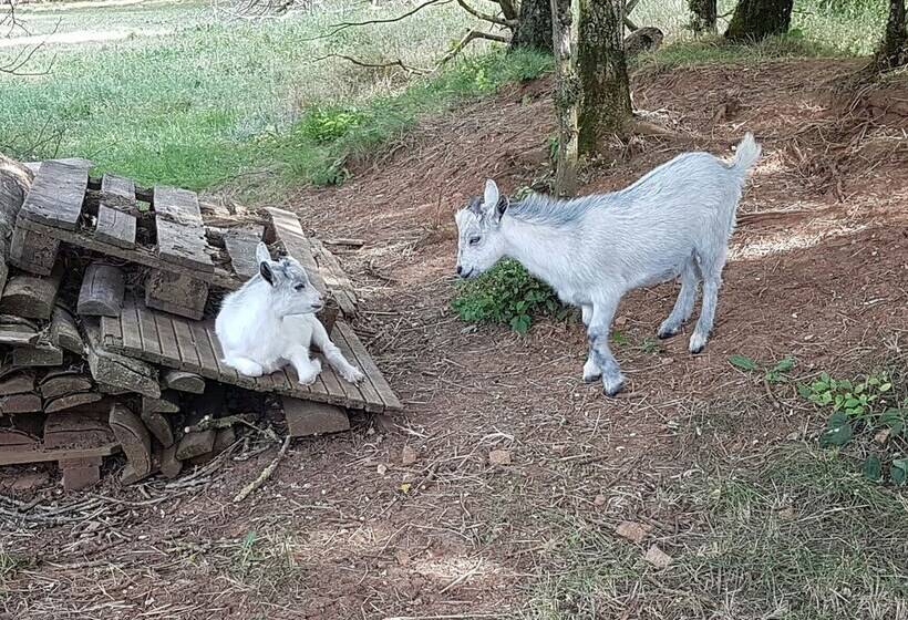 酒店 Au Tour De L Aveyron