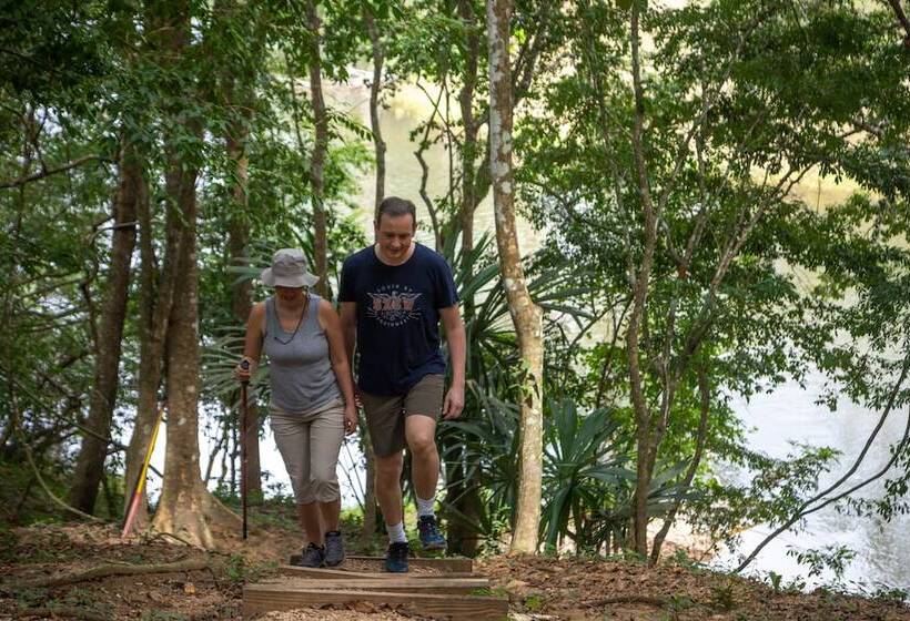 فندق Belize Rainforest Retreat At Chaa Creek