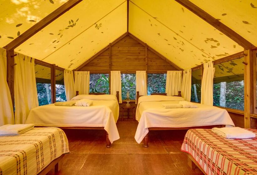 فندق Belize Rainforest Retreat At Chaa Creek