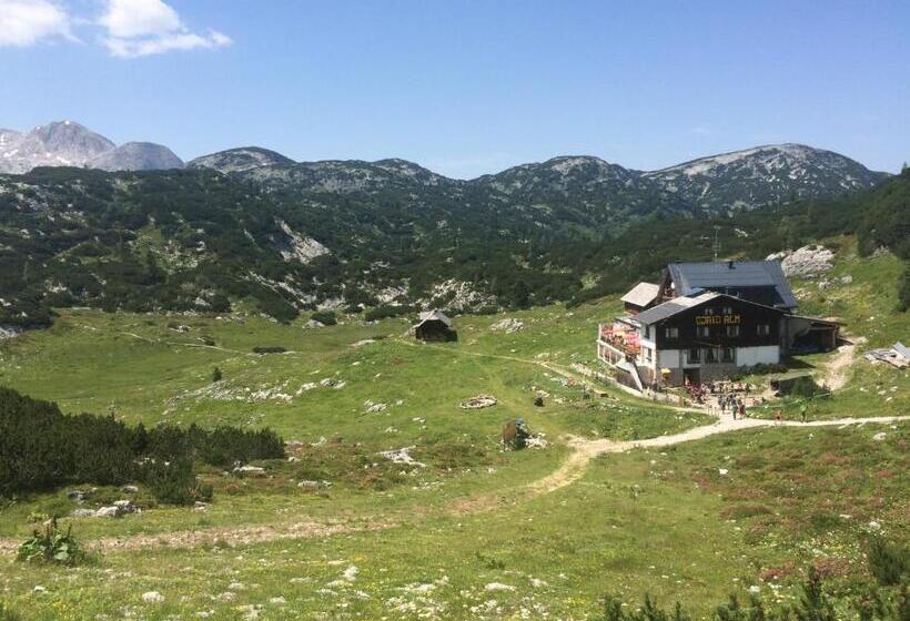 فندق Gjaid Alm 1739m Am Dachstein Only Accessible By Cable Car