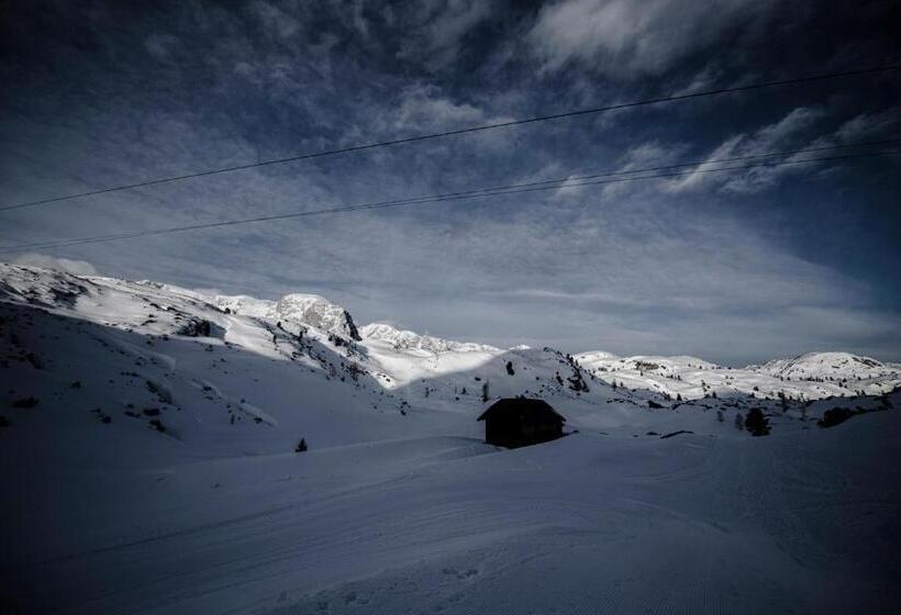 فندق Gjaid Alm 1739m Am Dachstein Only Accessible By Cable Car