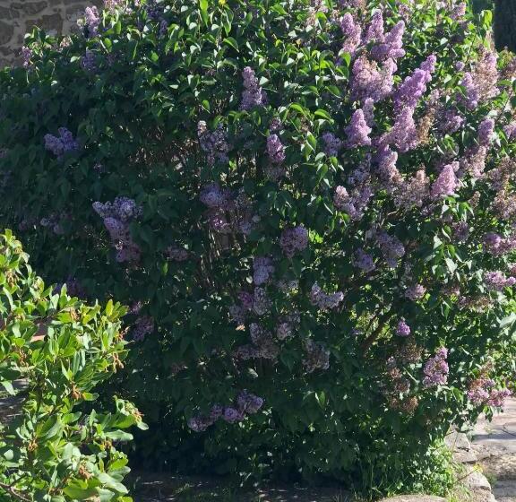 منتجع Antichi Casali