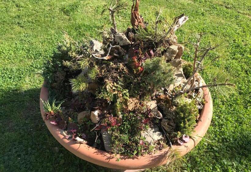 منتجع Antichi Casali