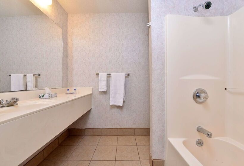 酒店 Americas Best Value Inn Knob Noster