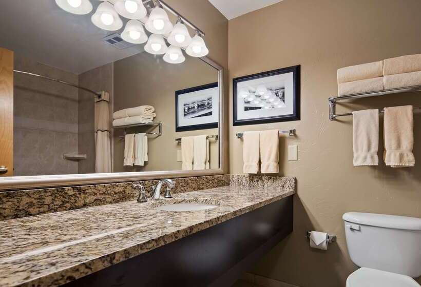 فندق Best Western Vista Inn