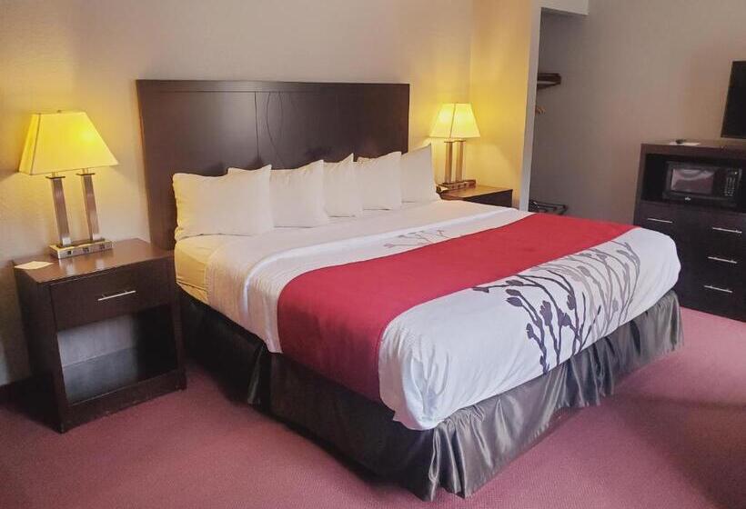 هتل Blackstone Lodge And Suites