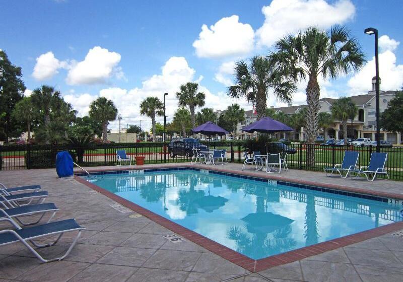 בית מלון כפרי Lonestar Suites