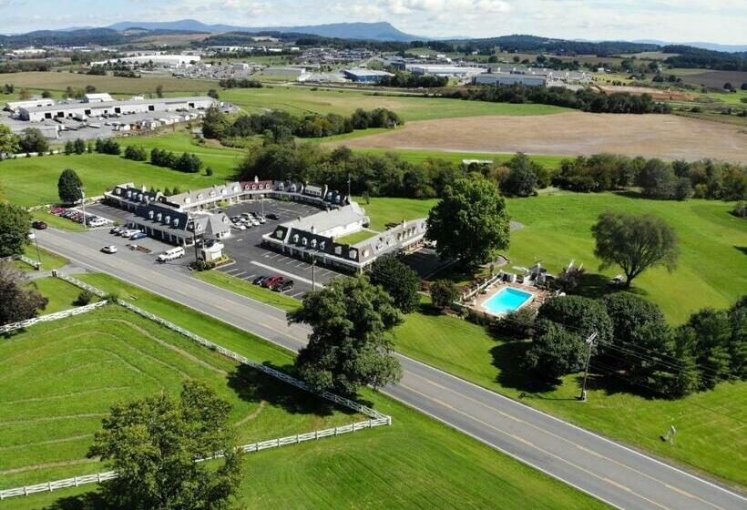 בית מלון כפרי The Village Inn