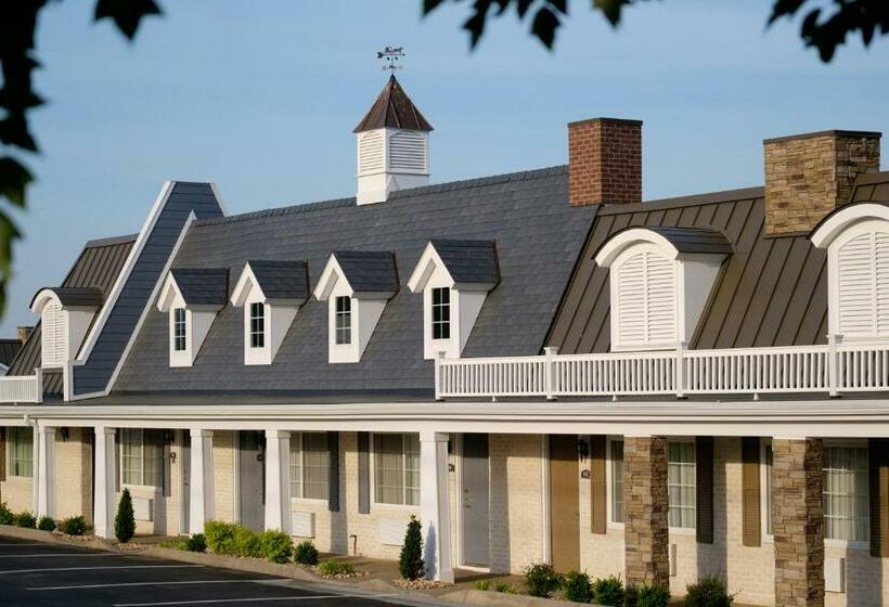 בית מלון כפרי The Village Inn