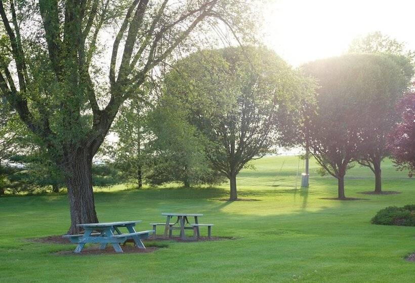 בית מלון כפרי The Village Inn