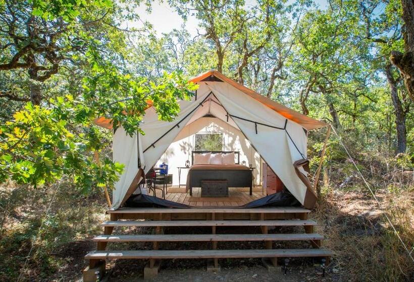 酒店 Westcliff Lodge