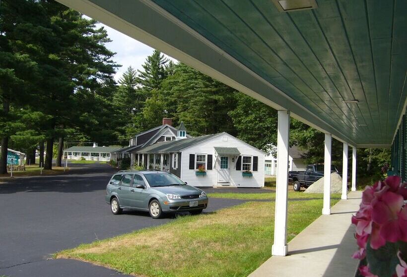 White Trellis Motel