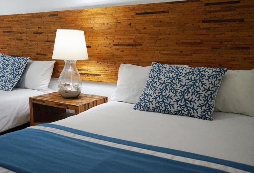 فندق Color Marino Seaside