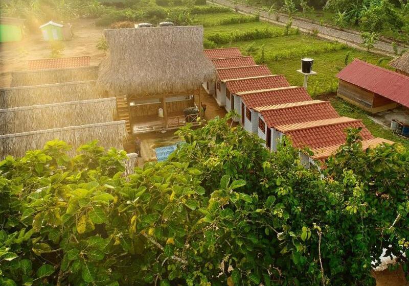 هتل Palomino Sunrise