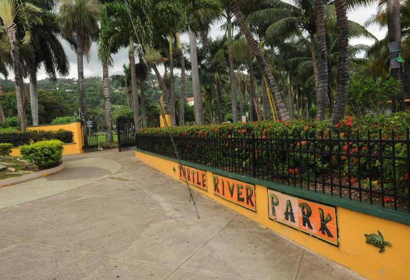 پانسیون Aileen Palm Cove Ja