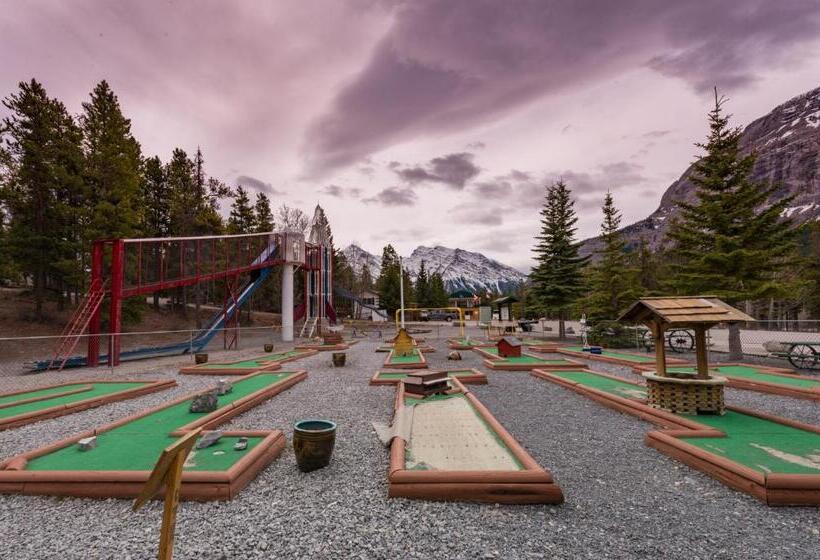 酒店 David Thompson Resort