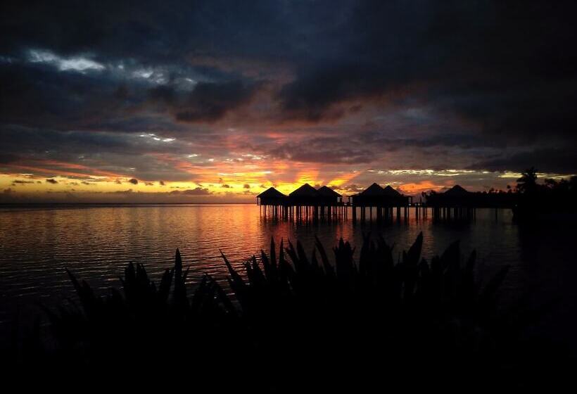 Coconuts Beach Club Resort And Spa