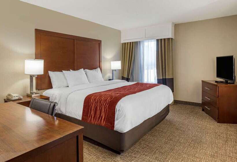 هتل Comfort Inn & Suites Airport