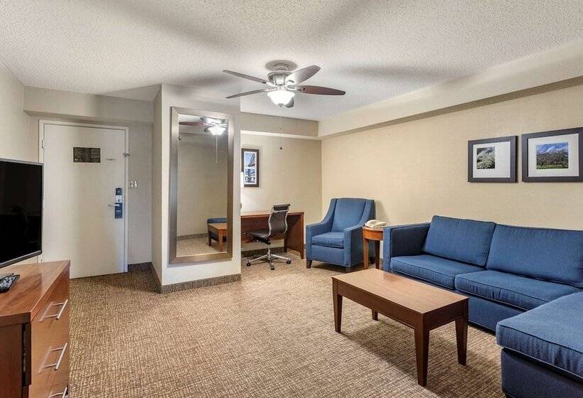 هتل Comfort Inn & Suites Airport