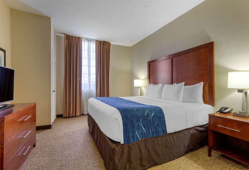 בית מלון כפרי Comfort Suites Fredericksburg South