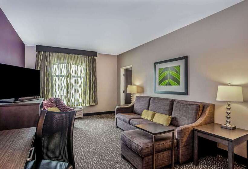 هتل La Quinta By Wyndham Kearney