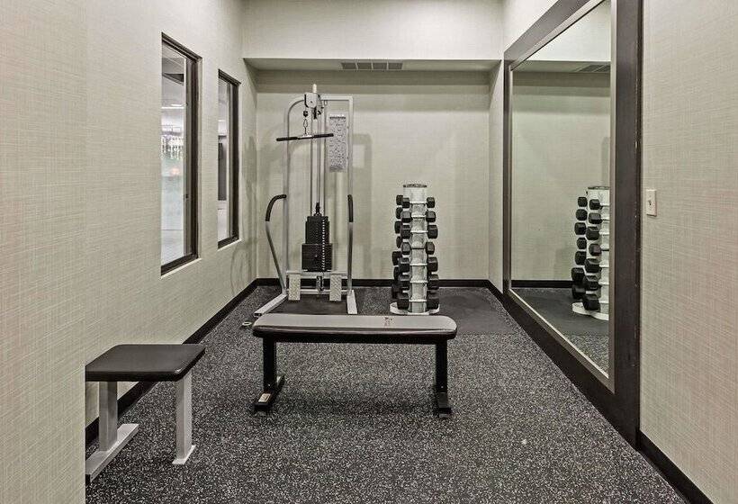 هتل Comfort Inn & Suites Irving Las Colinas Dfw