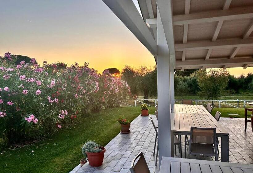 בית מלון כפרי Agriturismo Re Di Fiori