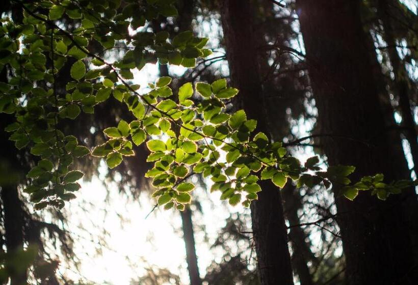 בית מלון כפרי Kouty
