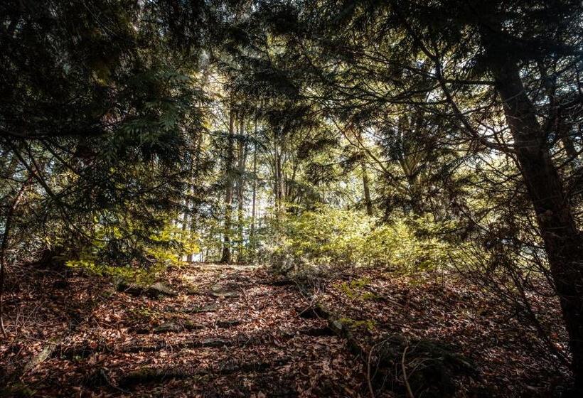 בית מלון כפרי Kouty