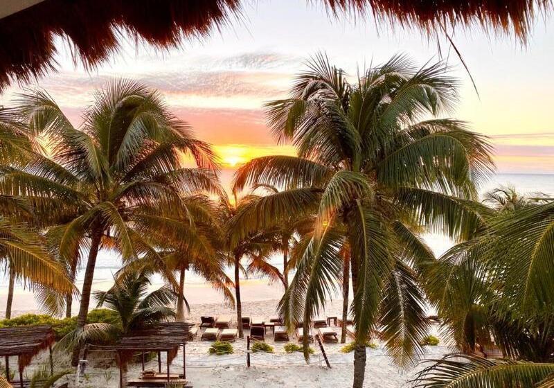هاستل Selina Poc Na Isla Mujeres