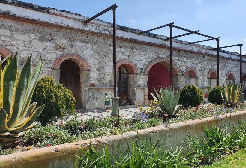 هتل Hacienda Tecoac