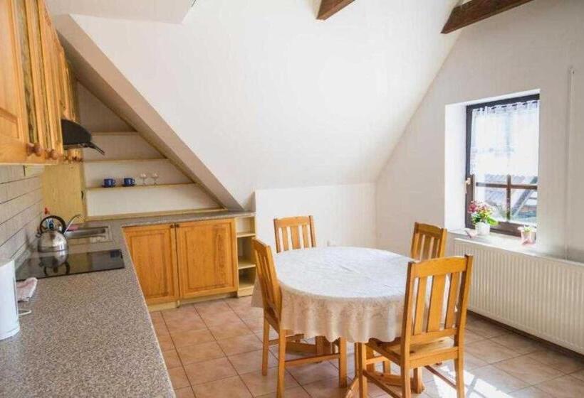 פנסיון Penzion Orlov