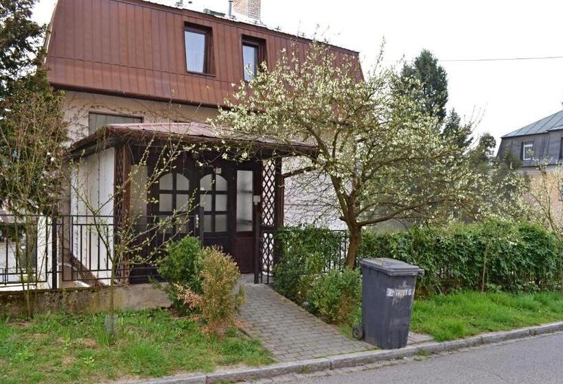 פנסיון Penzion Beta