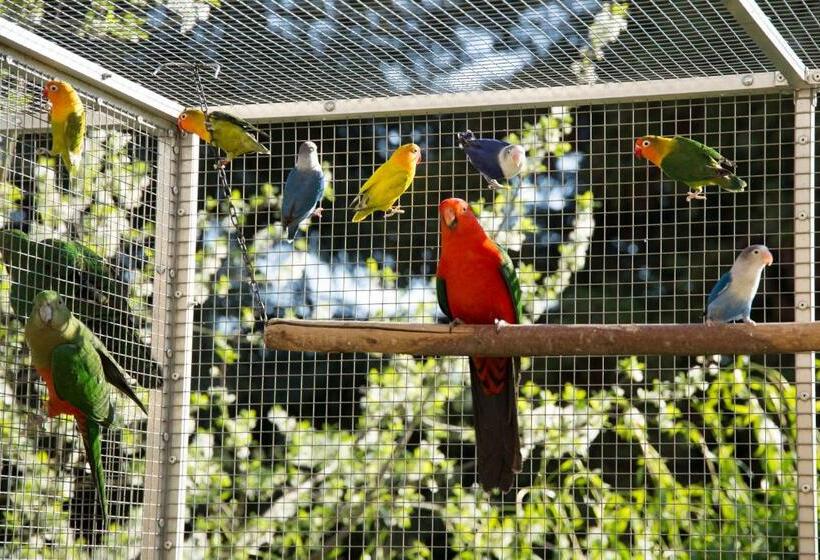 פנסיון Penzion Beta