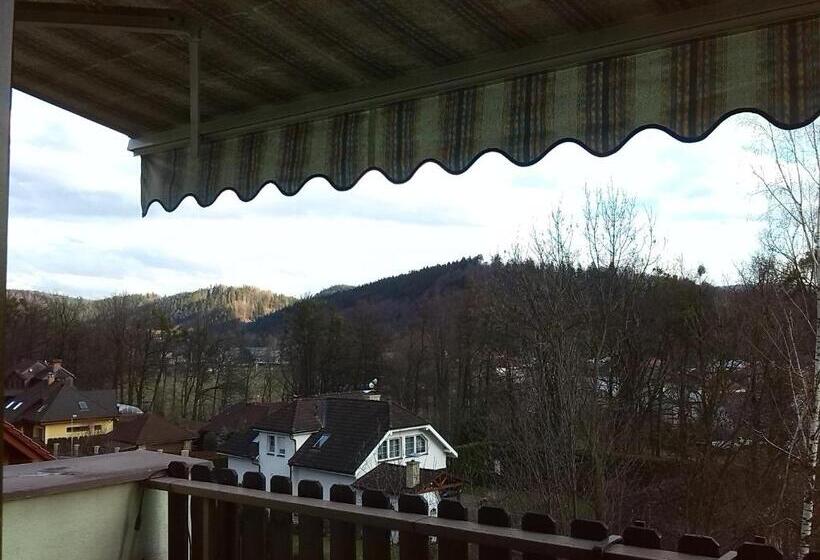 پانسیون Penzion Forman