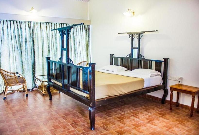 هاستل Mystique Ville