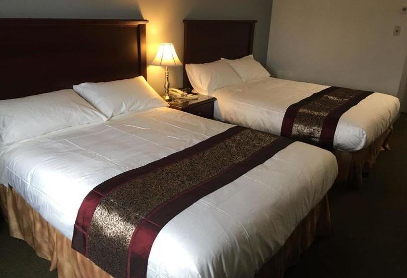 Repotel Levis