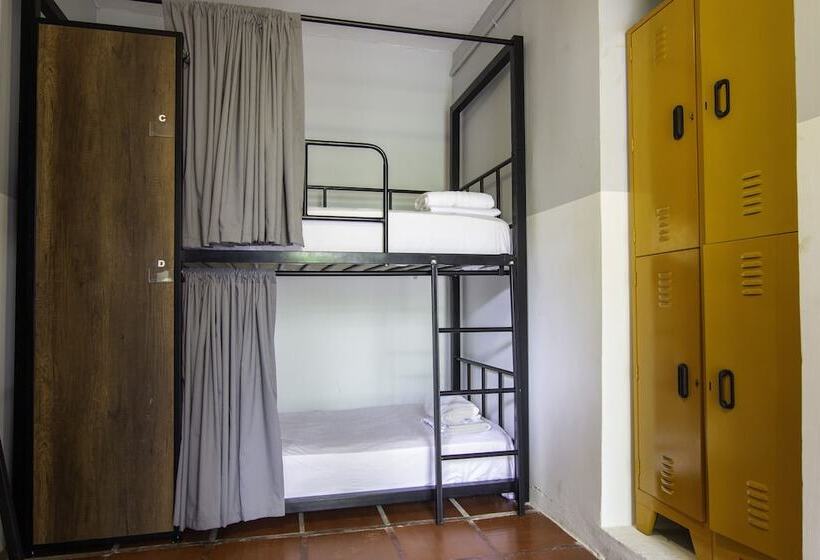 호텔 Selina Palomino