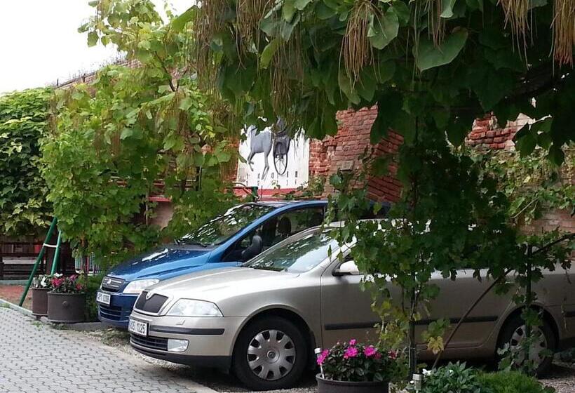 پانسیون Penzion U Vlků