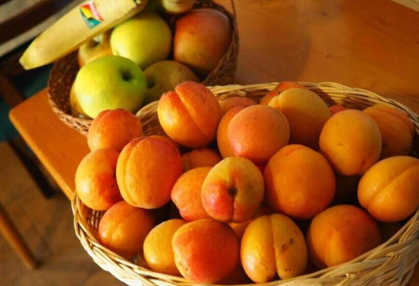 پانسیون Penzion U Vlků